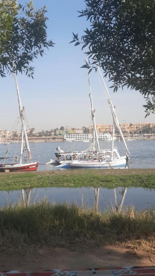 Villa Victoria Old Nile View Luxor Exterior foto